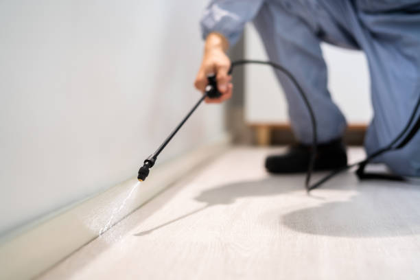 Licensed Cockroach Control service in Hillsborough, CA - Nex Pest Control
