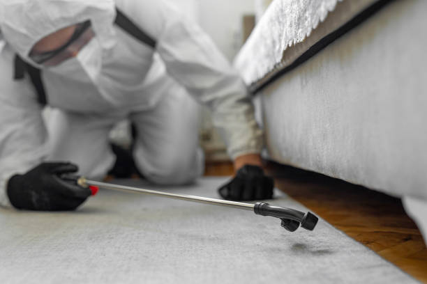 Professional Cockroach Control technician working in Hillsborough, CA