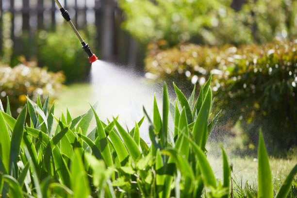 24/7 Emergency Cockroach Control experts in Hillsborough, CA