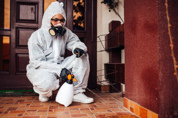 Reliable Cockroach Control contractor in Hillsborough, CA by Nex Pest Control